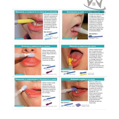 ARK's Z-Vibe 3 puntas 2 Animales + Manual